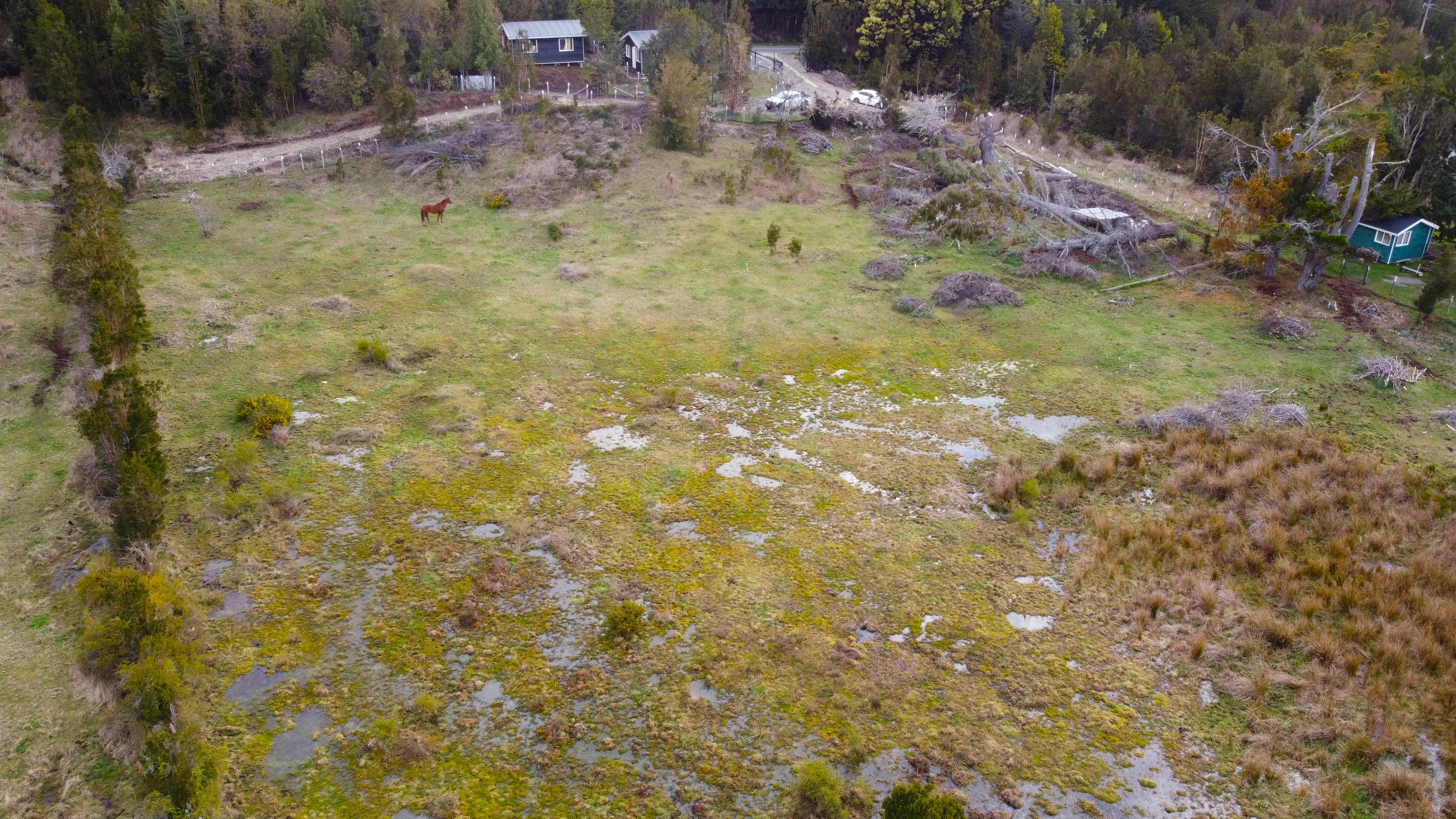 Foto 6