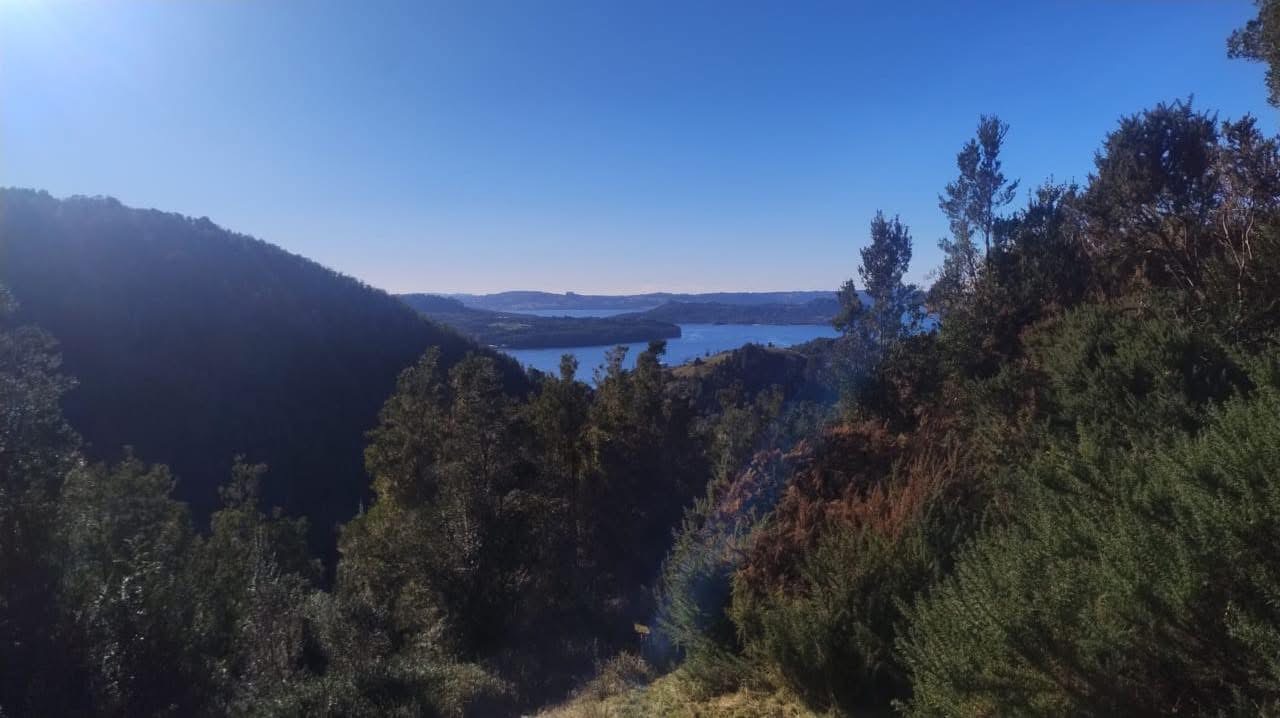 IMG_5036 Se Vende Parcela en Sector Terao Playa – Comuna de Chonchi