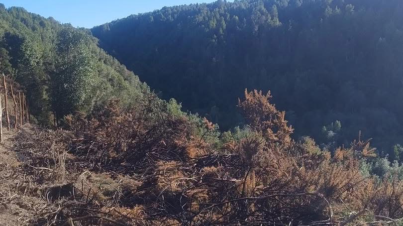 Se Vende Parcela en Sector Terao Playa – Comuna de Chonchi