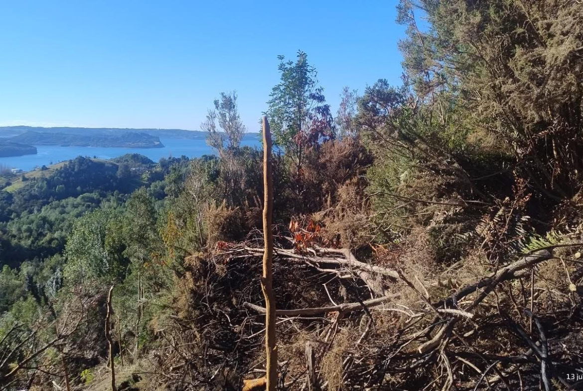 Se Vende Parcela en Sector Terao Playa – Comuna de Chonchi