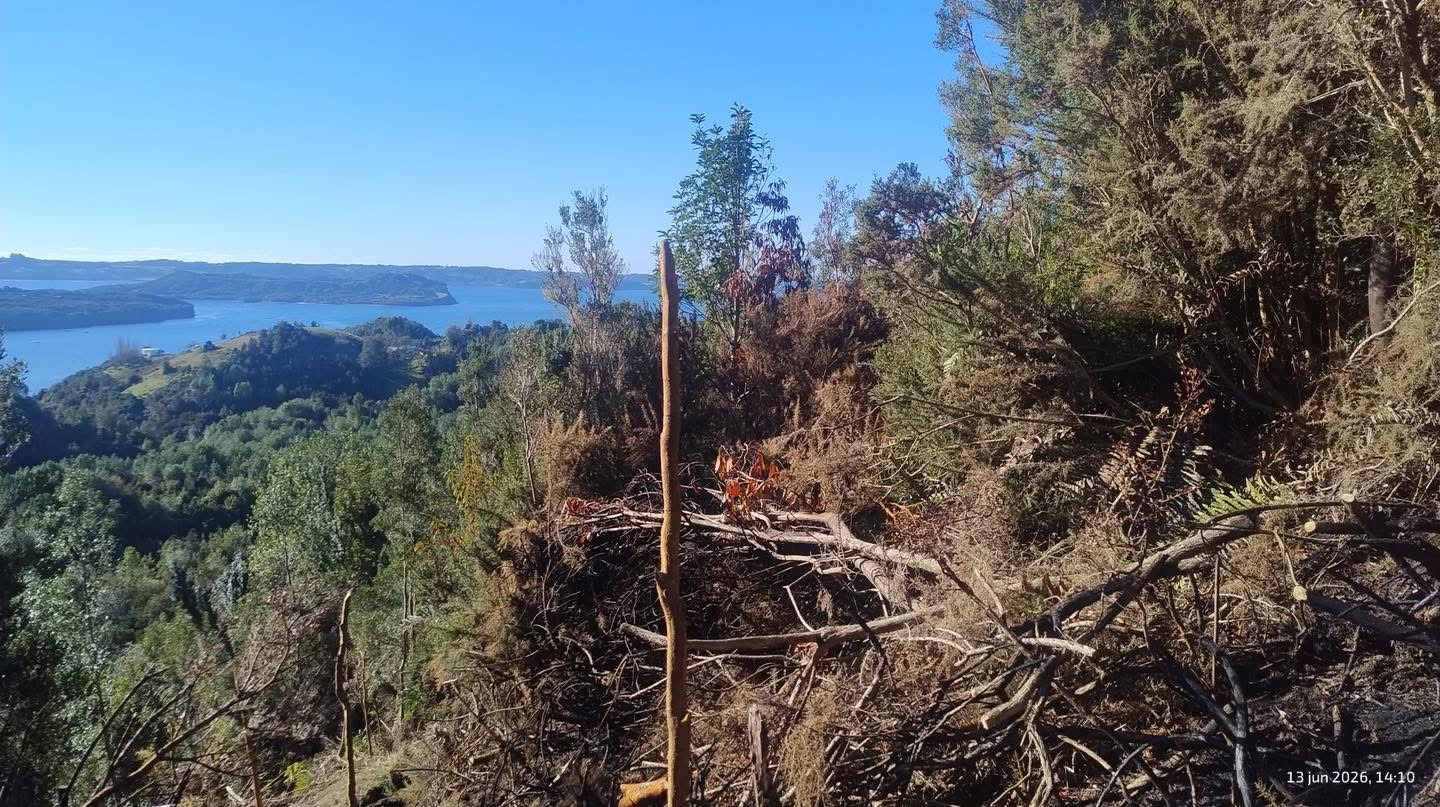 IMG_5038 Se Vende Parcela en Sector Terao Playa – Comuna de Chonchi